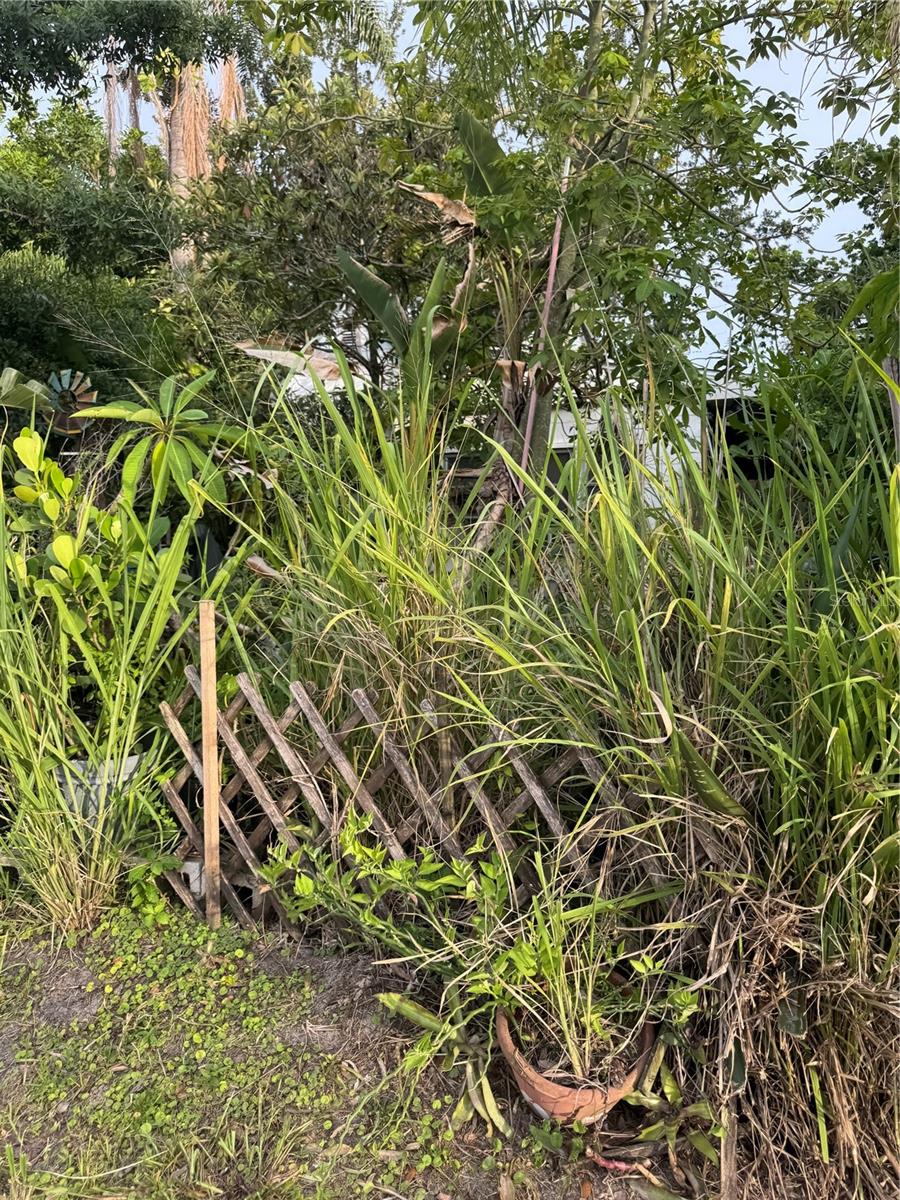 Image 7 of 8 For 600 38th Avenue N