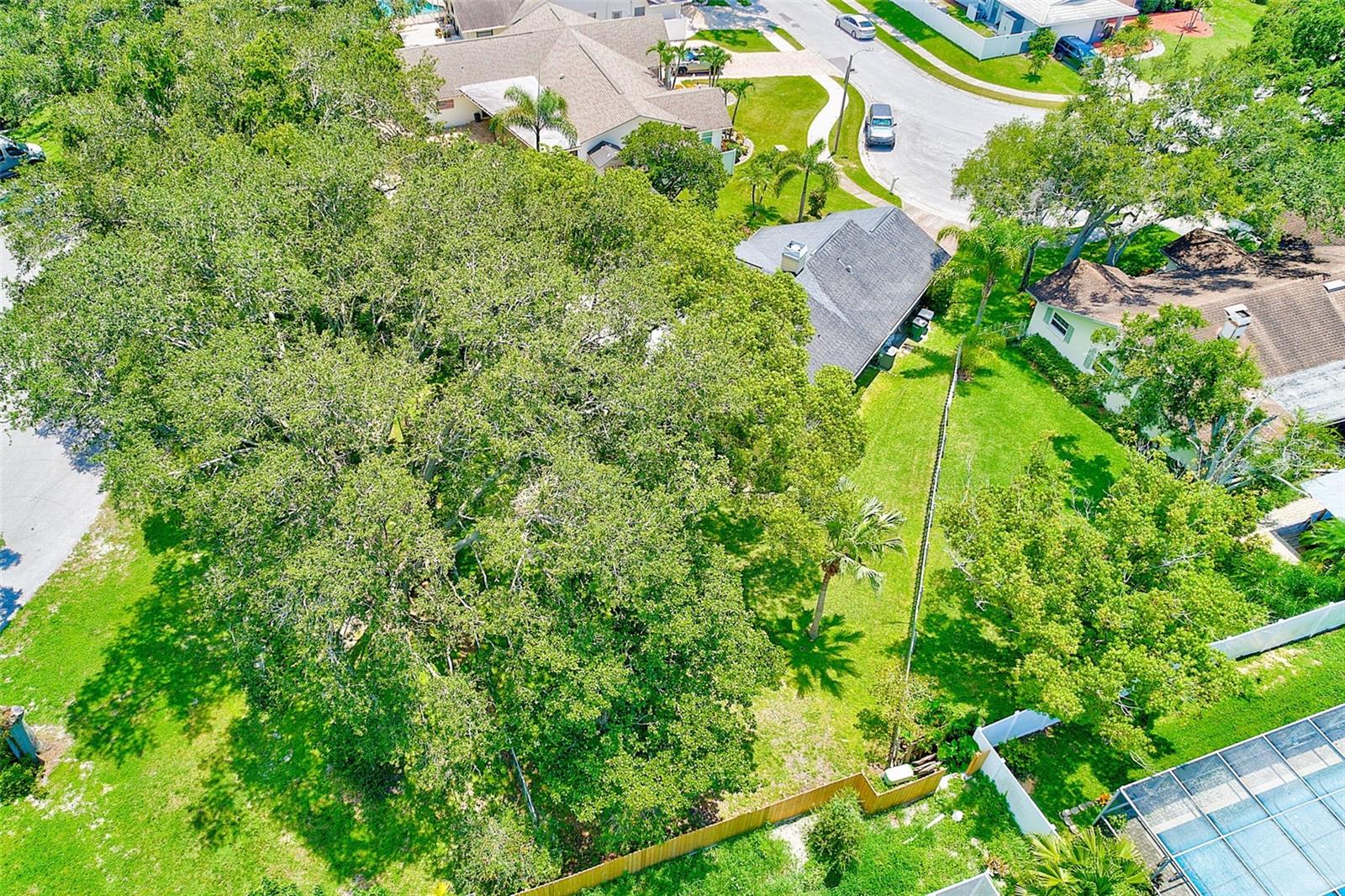 Listing photo id 49 for 3104 Hillside Lane