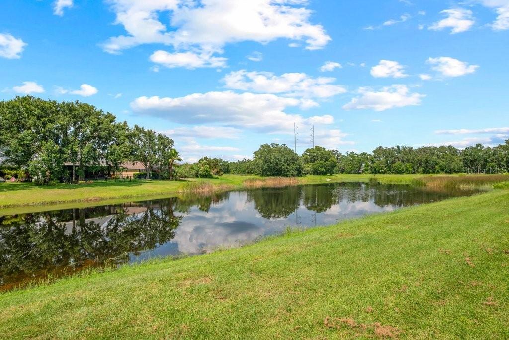 Image 41 of 56 For 16224 Bridgepark Drive
