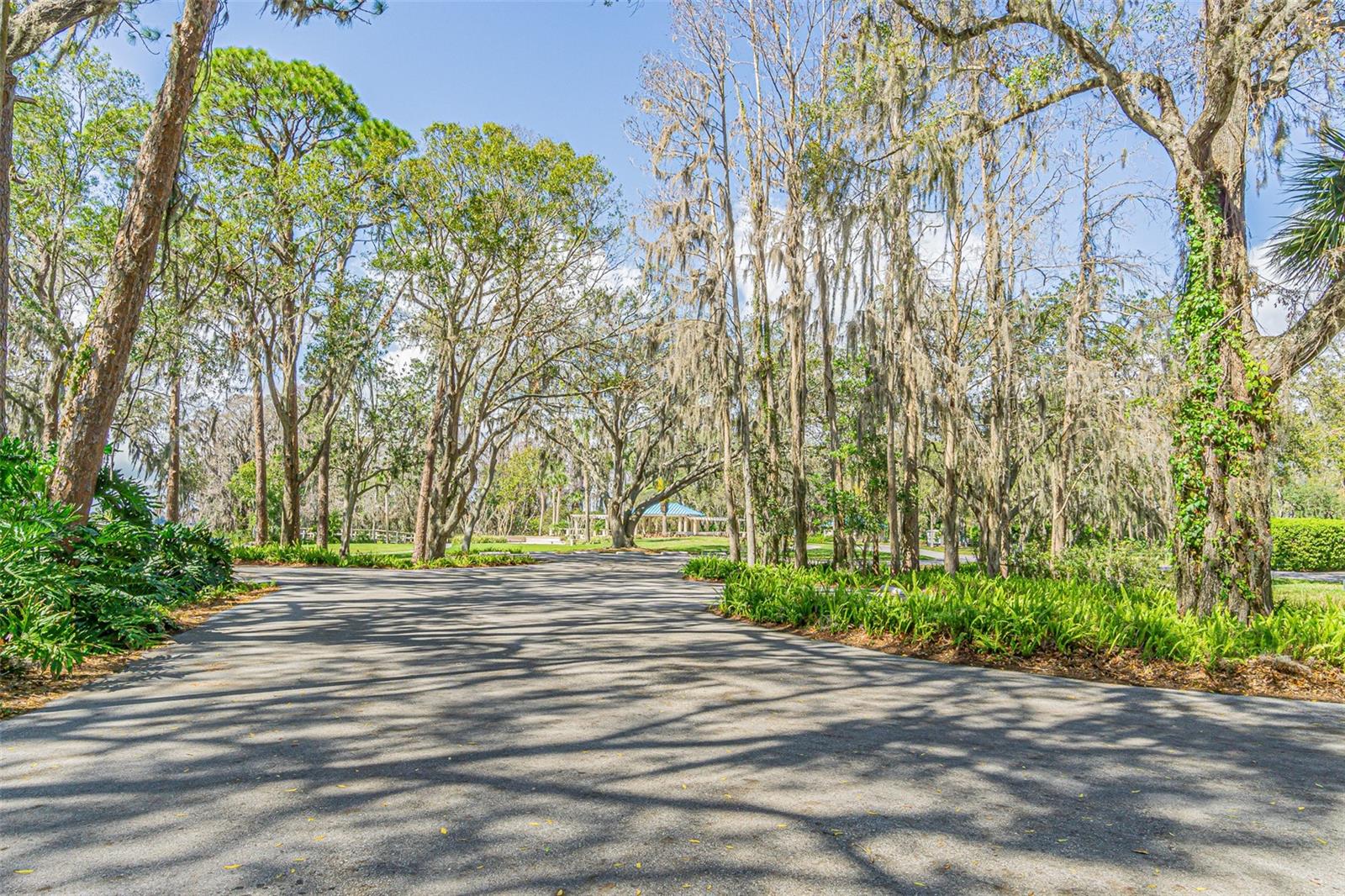 Listing photo id 61 for 3015 Northfield Drive