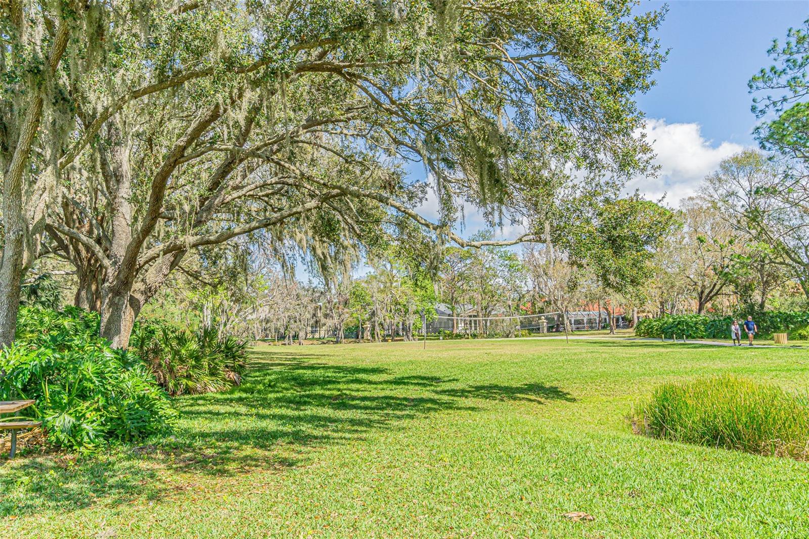 Listing photo id 62 for 3015 Northfield Drive