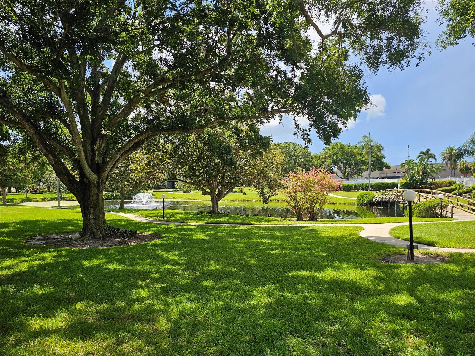 Image 28 of 37 For 14130 Rosemary Lane 3207