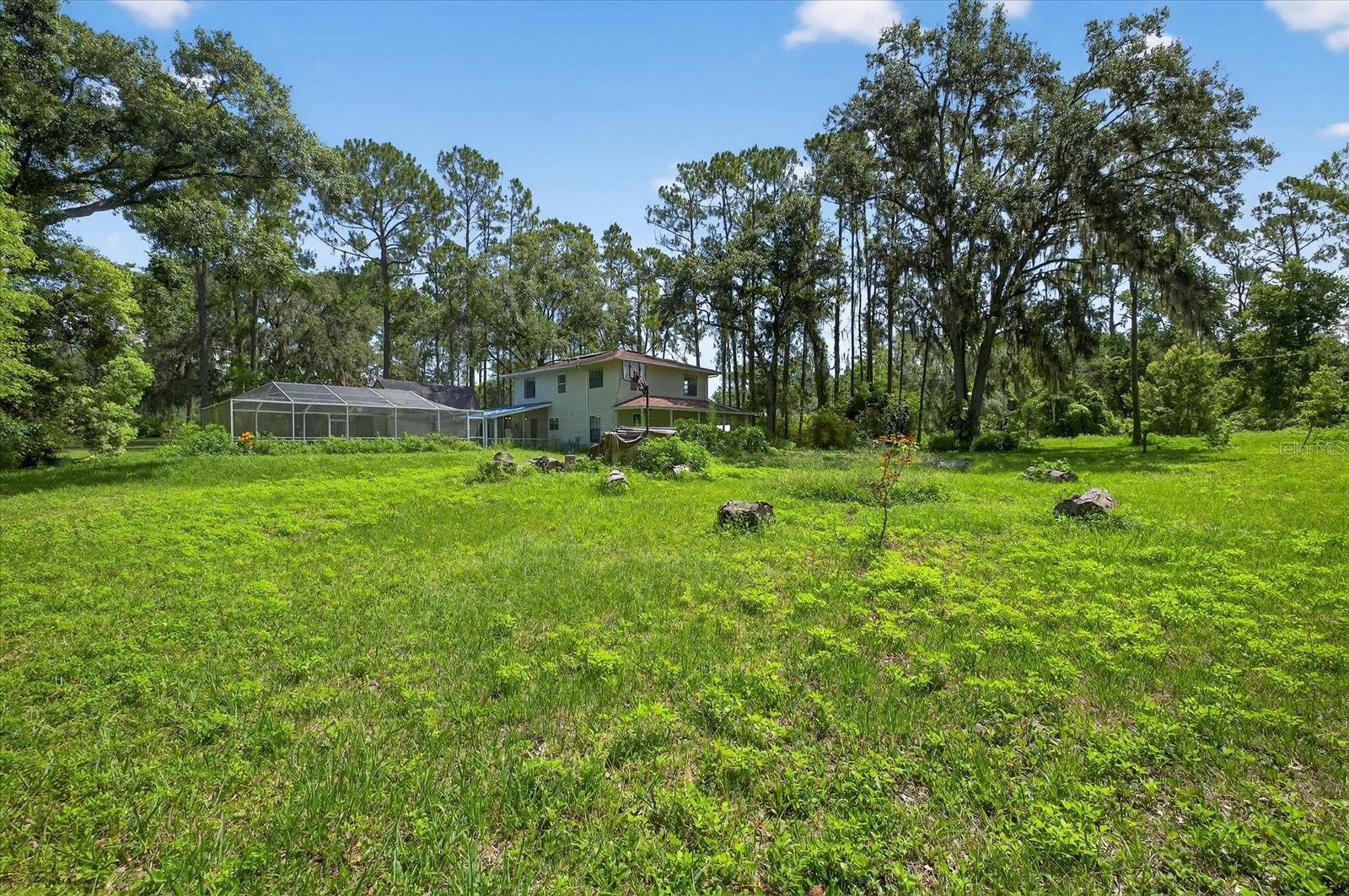 Listing photo id 34 for 8541 Fussell Drive