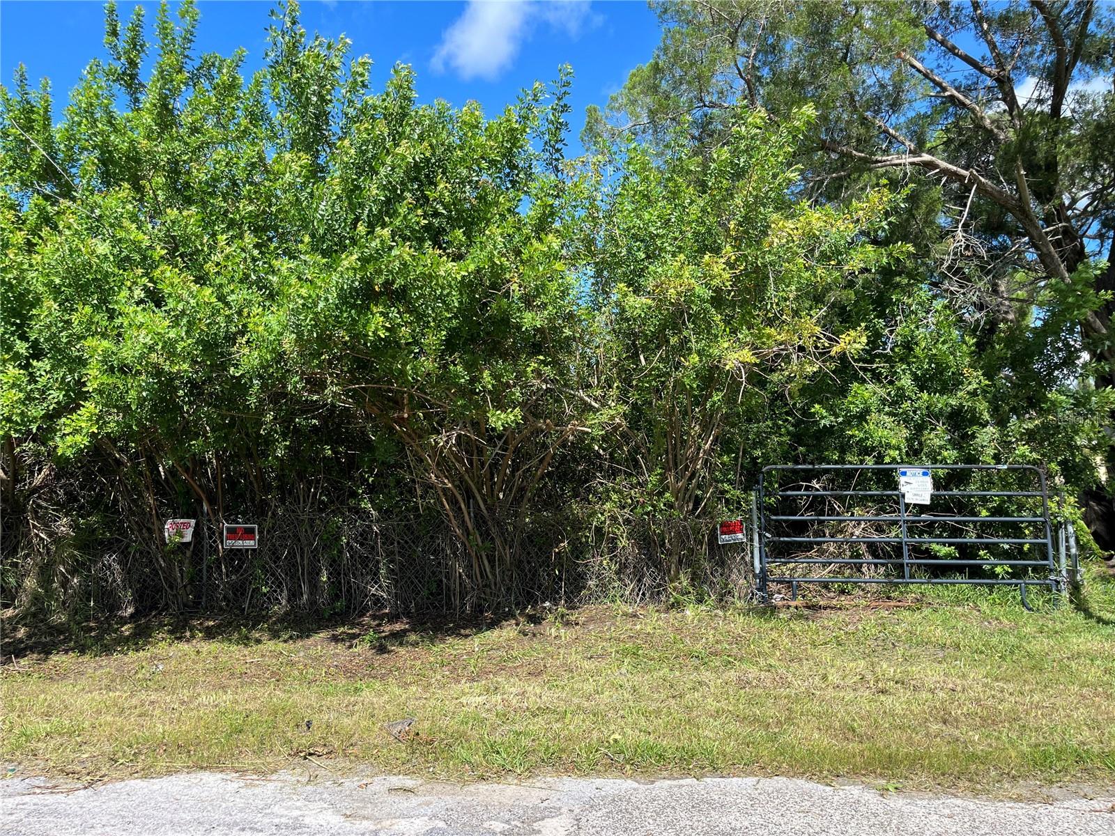 Listing photo id 0 for 5427 Van Doren Avenue