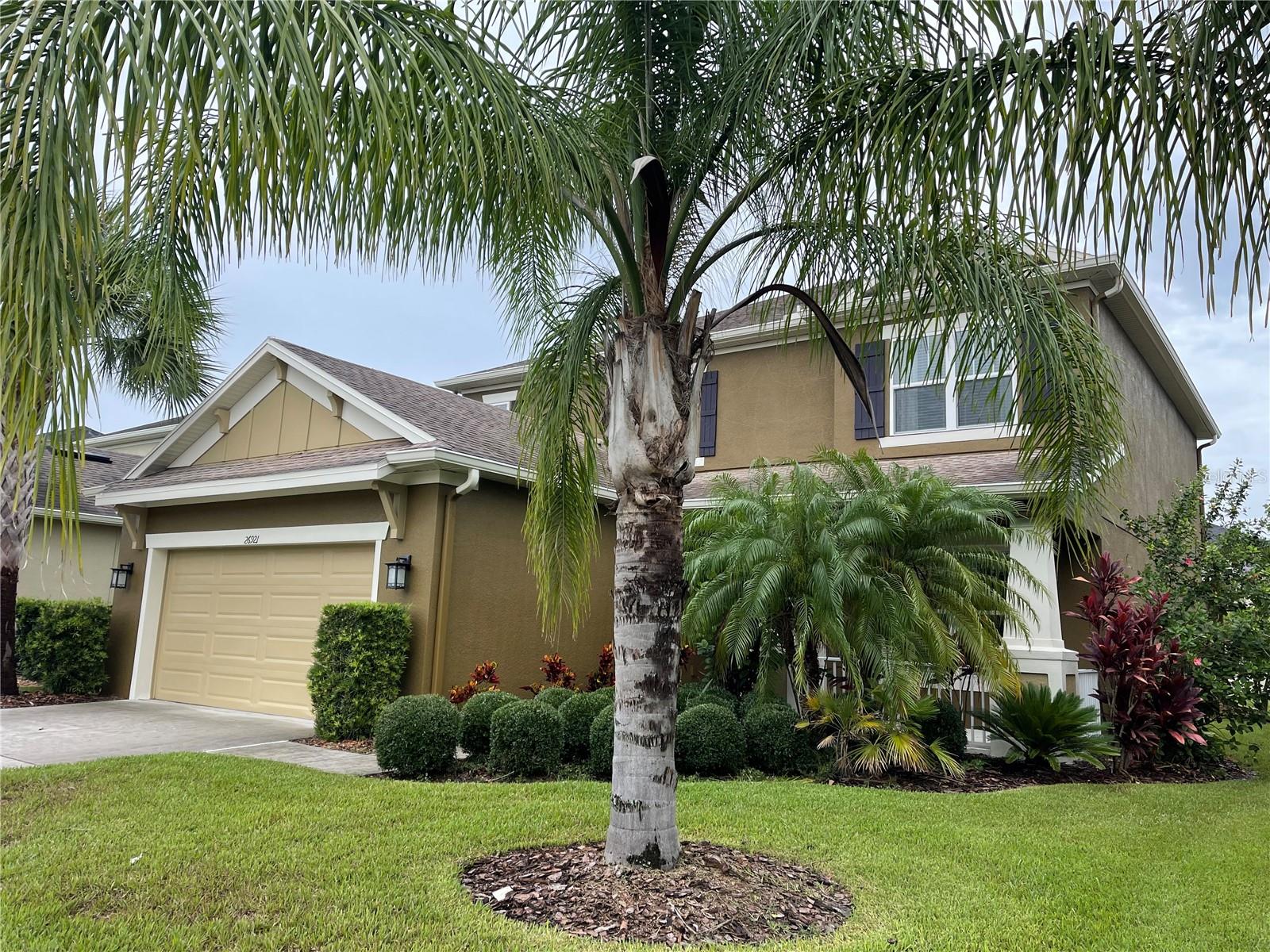 Details for 26921 Carolina Aster Drive, WESLEY CHAPEL, FL 33544