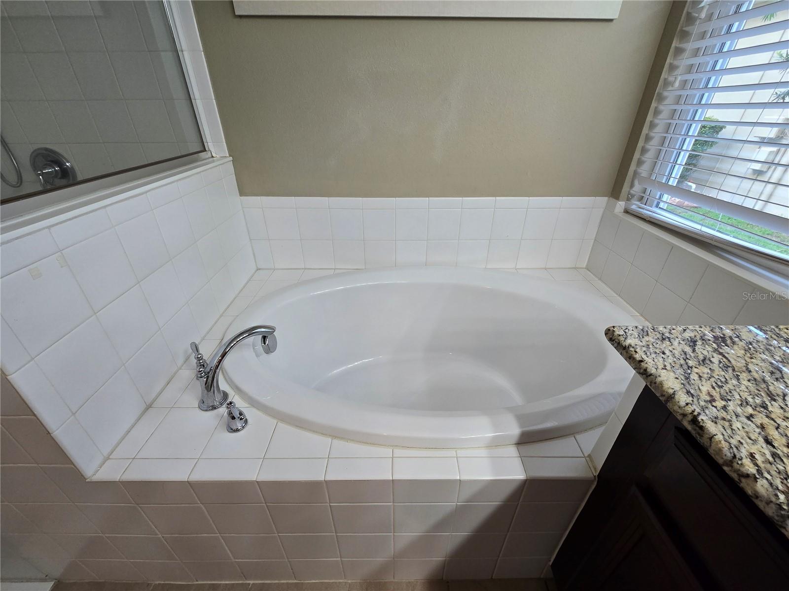 Image 20 of 34 For 26921 Carolina Aster Drive
