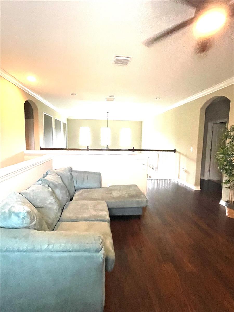 Image 7 of 18 For 26921 Carolina Aster Drive