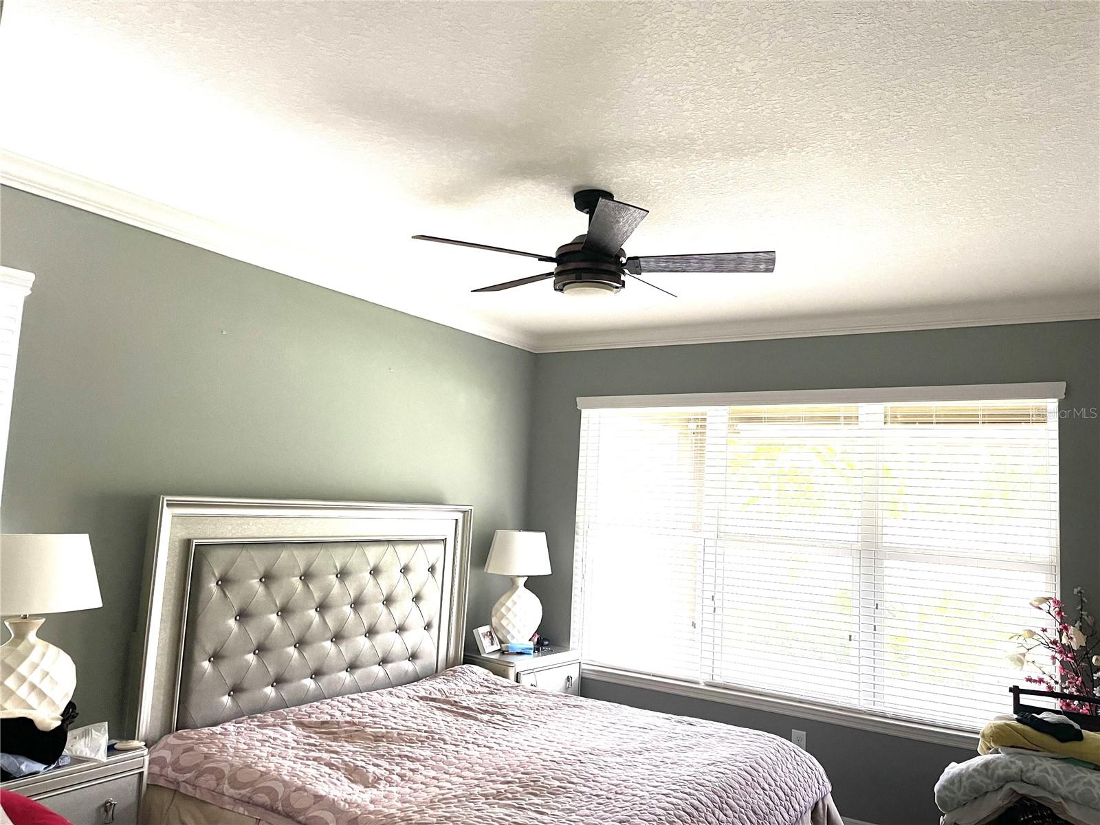 Image 8 of 18 For 26921 Carolina Aster Drive