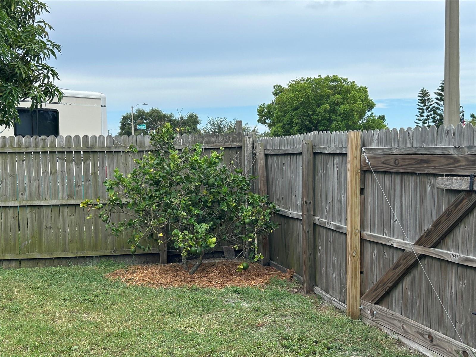 Listing photo id 21 for 3208 Brompton Drive