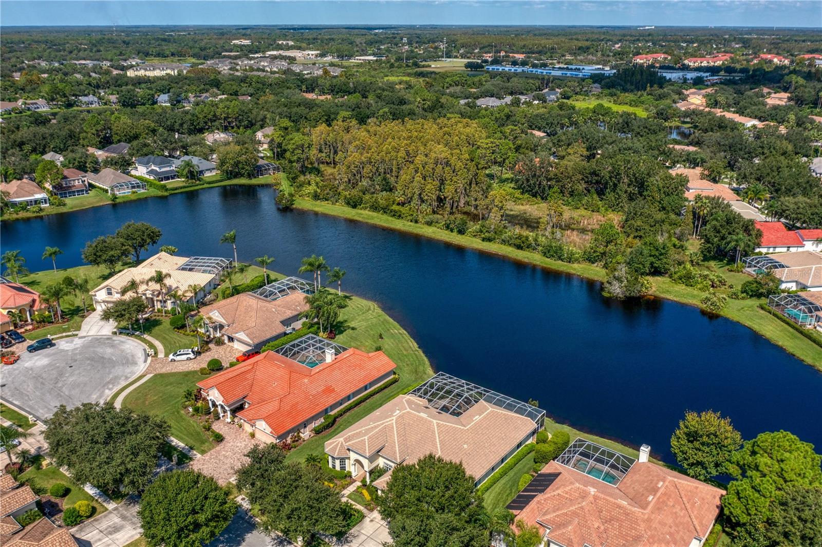 Details for 17923 Arbor Haven Drive, TAMPA, FL 33647