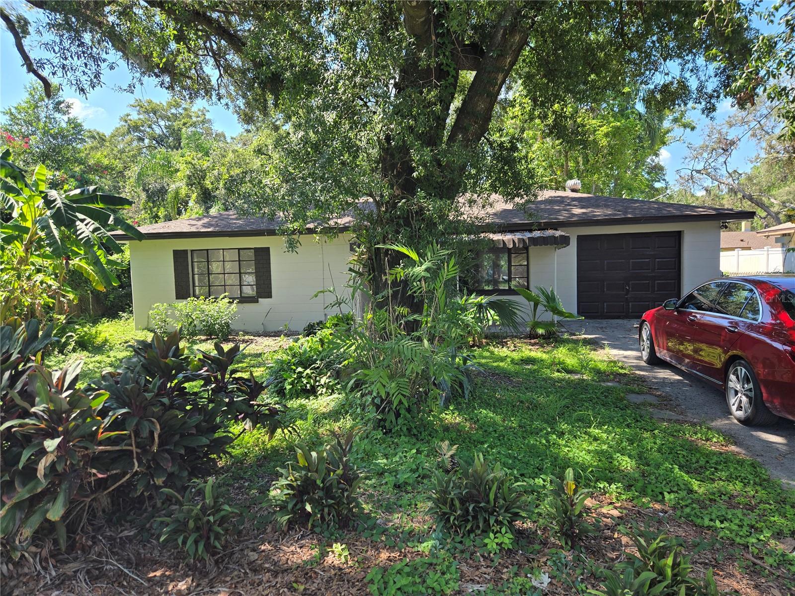 Image 8 of 42 For 804 Linebaugh Avenue