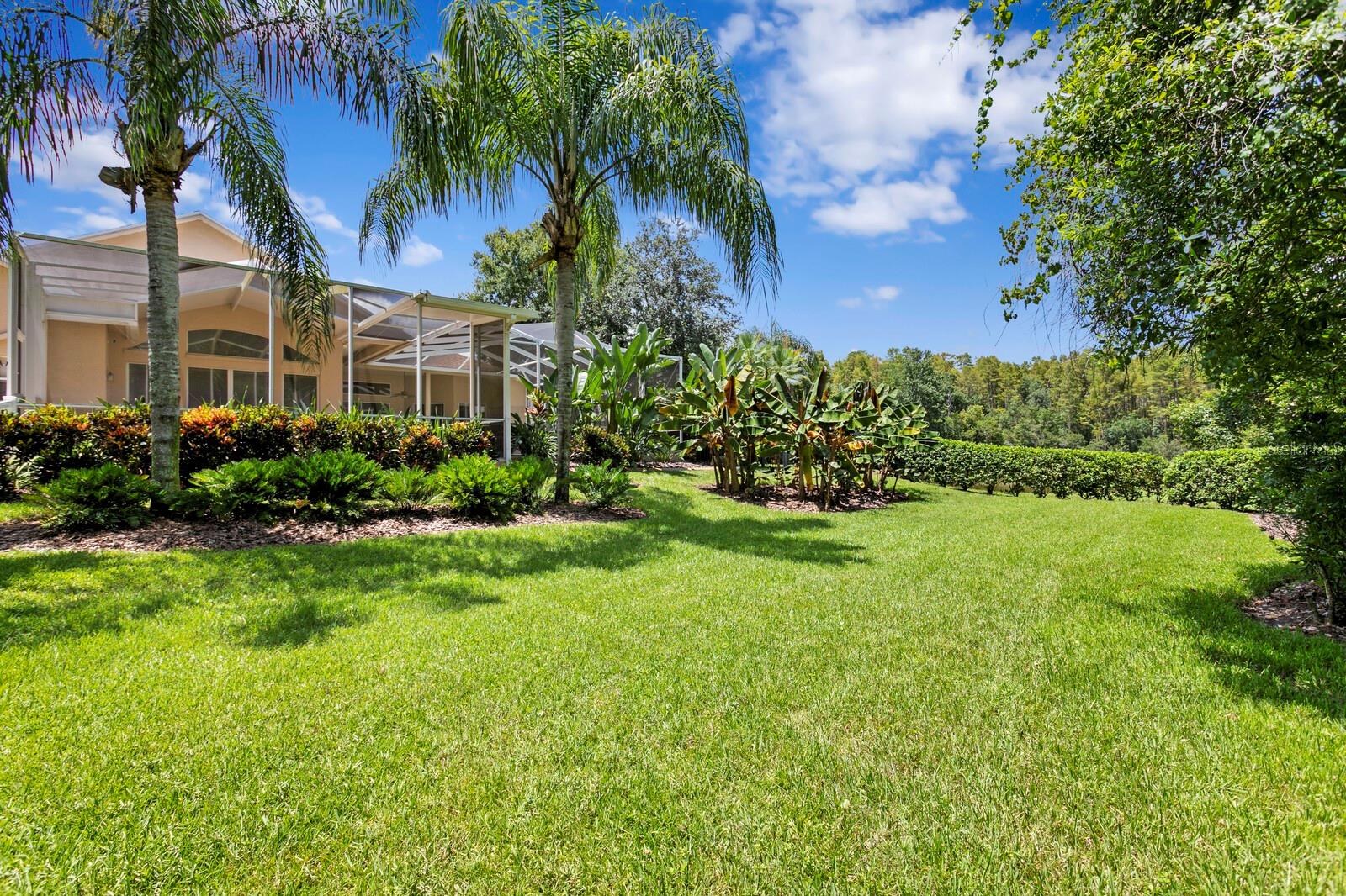 Image 64 of 87 For 4614 Mirabella Place