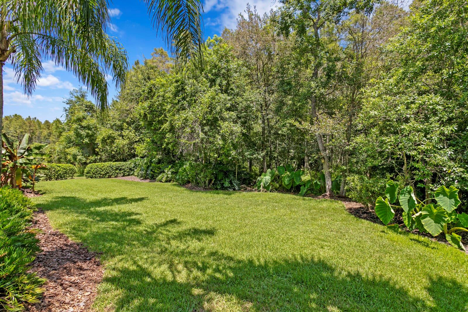Image 65 of 87 For 4614 Mirabella Place