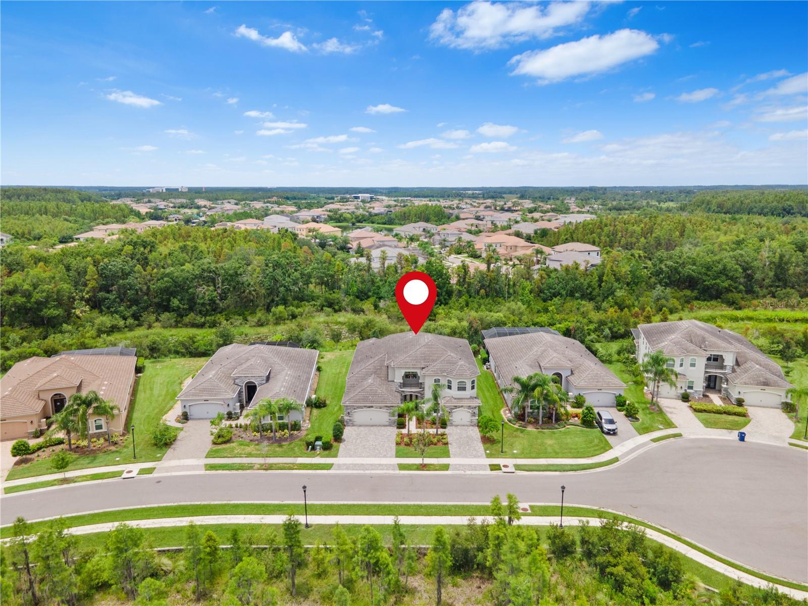 Listing photo id 3 for 2321 Hollow Forest Court