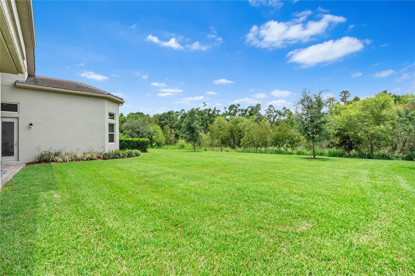 Listing photo id 83 for 2321 Hollow Forest Court
