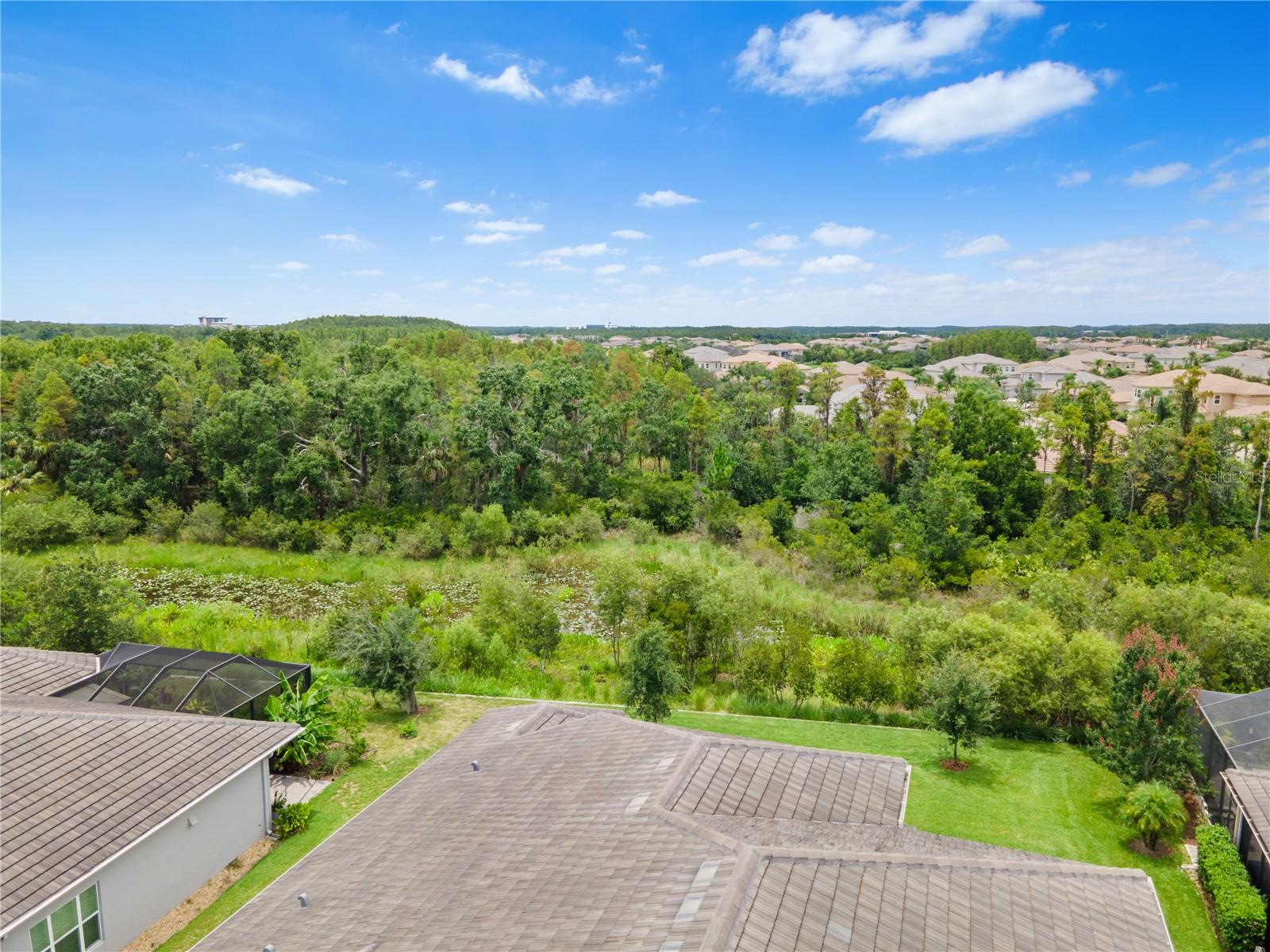 Listing photo id 87 for 2321 Hollow Forest Court