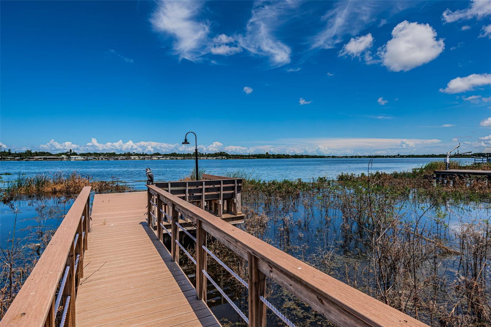 Listing photo id 42 for 10866 Harborside Drive