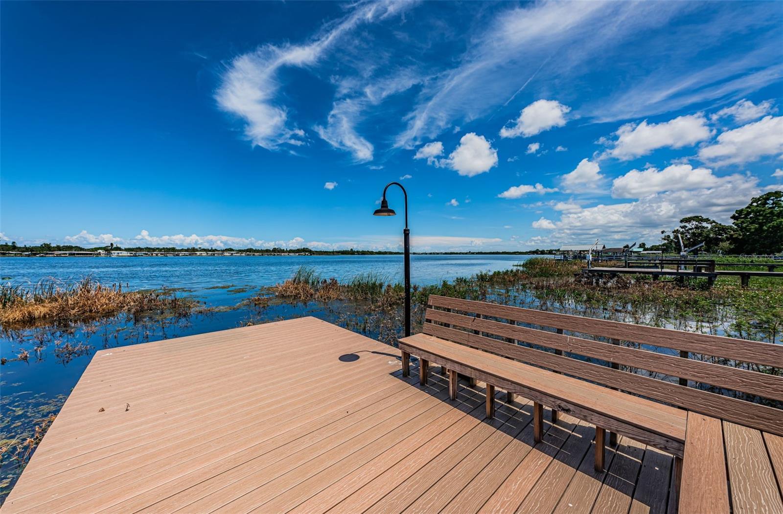 Listing photo id 44 for 10866 Harborside Drive