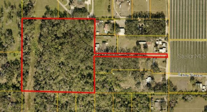 Details for Turkey Tree Lane, DOVER, FL 33527