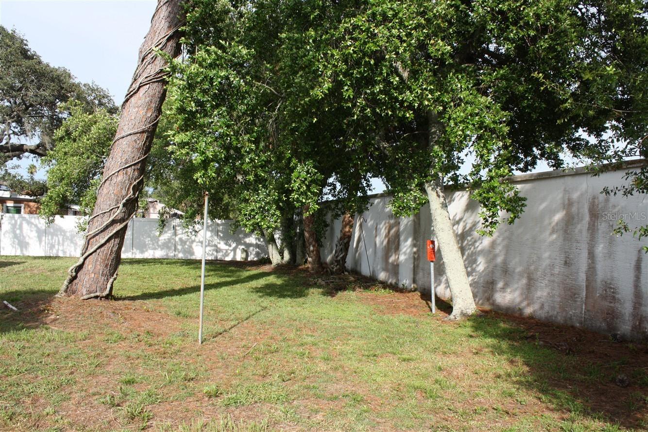 Image 23 of 24 For 7534 Betula Drive
