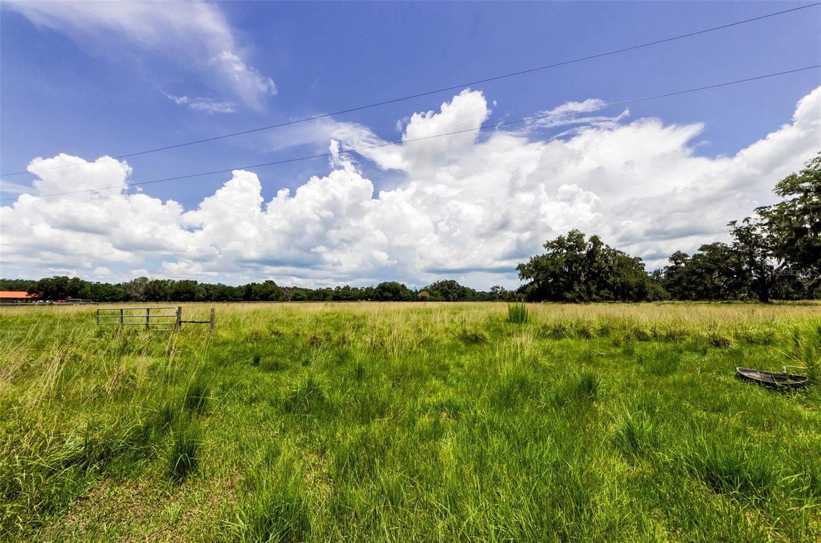 Image 81 of 95 For 22327 Mizell Road