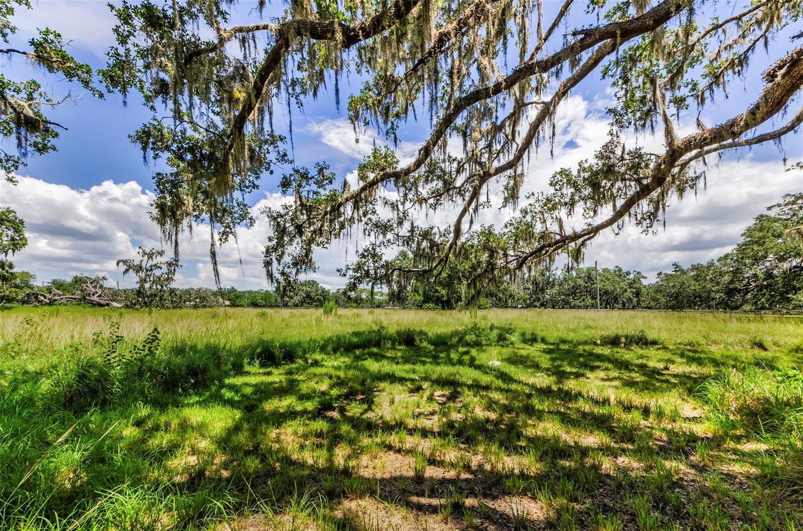 Image 83 of 95 For 22327 Mizell Road