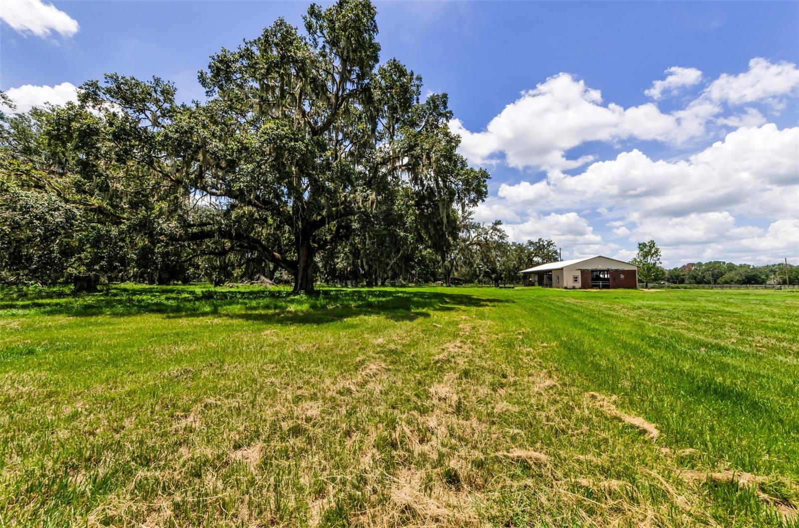 Image 85 of 95 For 22327 Mizell Road