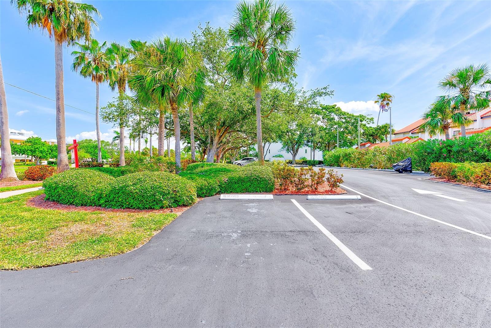 Image 31 of 38 For 557 Pinellas Bayway S 303