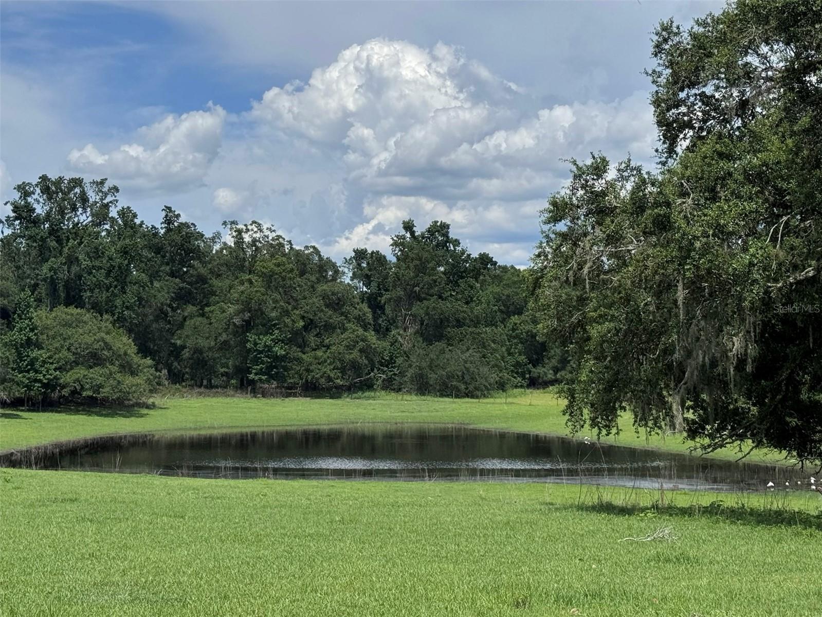 Details for 20716 Ramer Road, DADE CITY, FL 33523