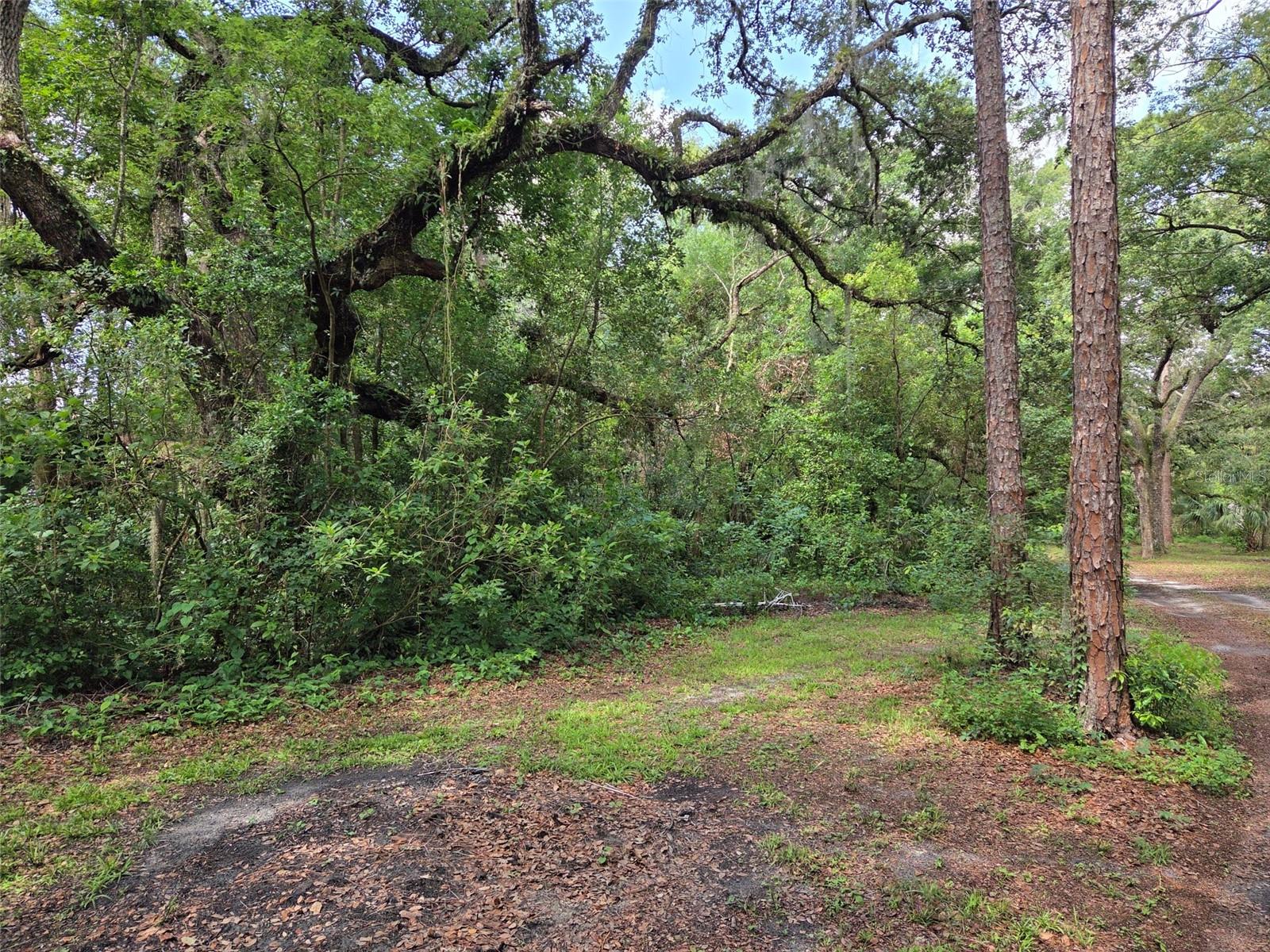 Image 6 of 16 For 37742 Glades Lane