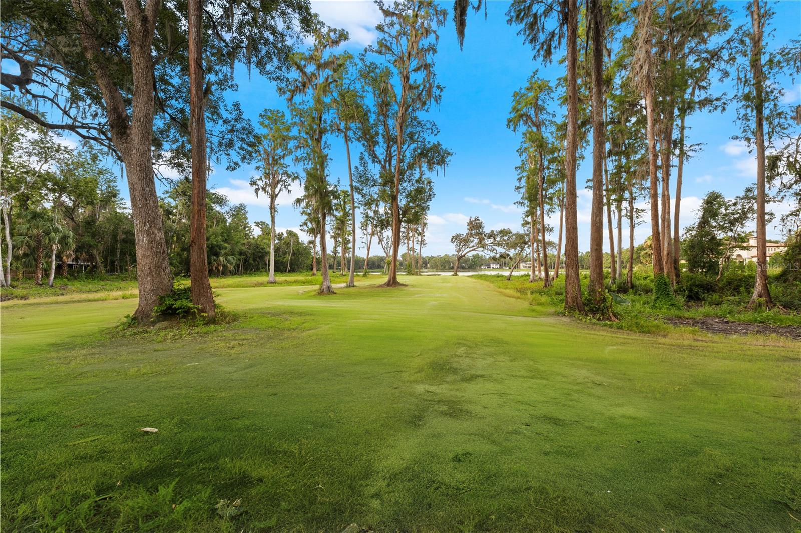 Listing photo id 1 for 16619 Indian Mound Road