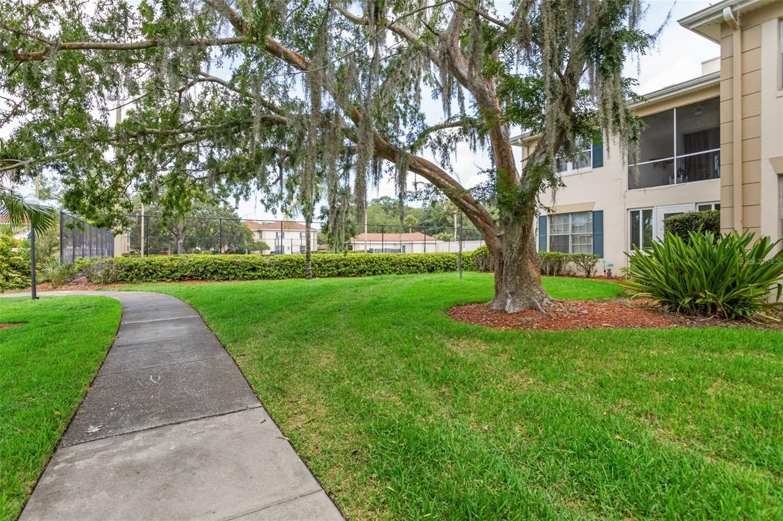 Image 23 of 37 For 10388 Carrollwood Lane 283