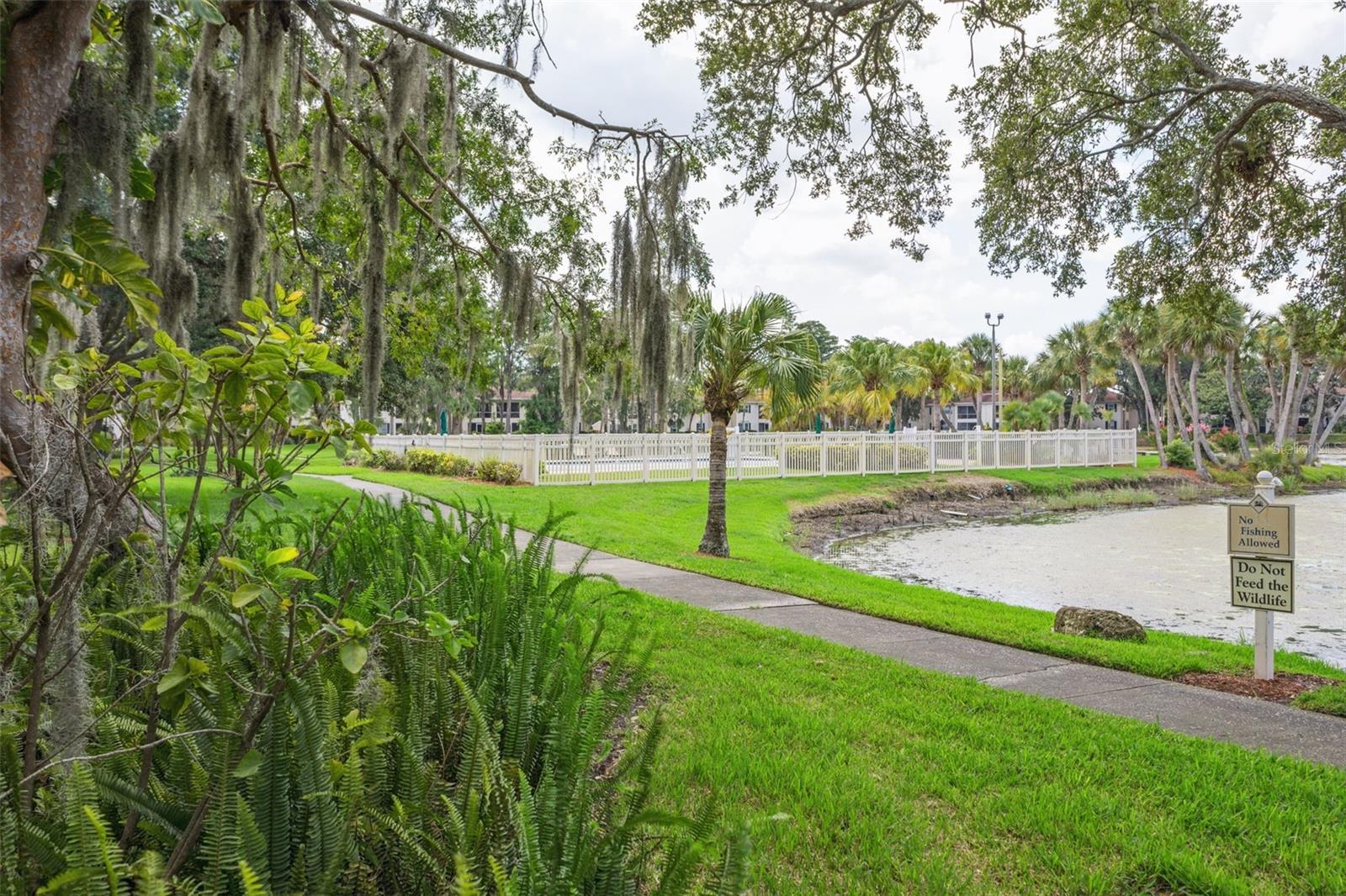 Image 24 of 37 For 10388 Carrollwood Lane 283