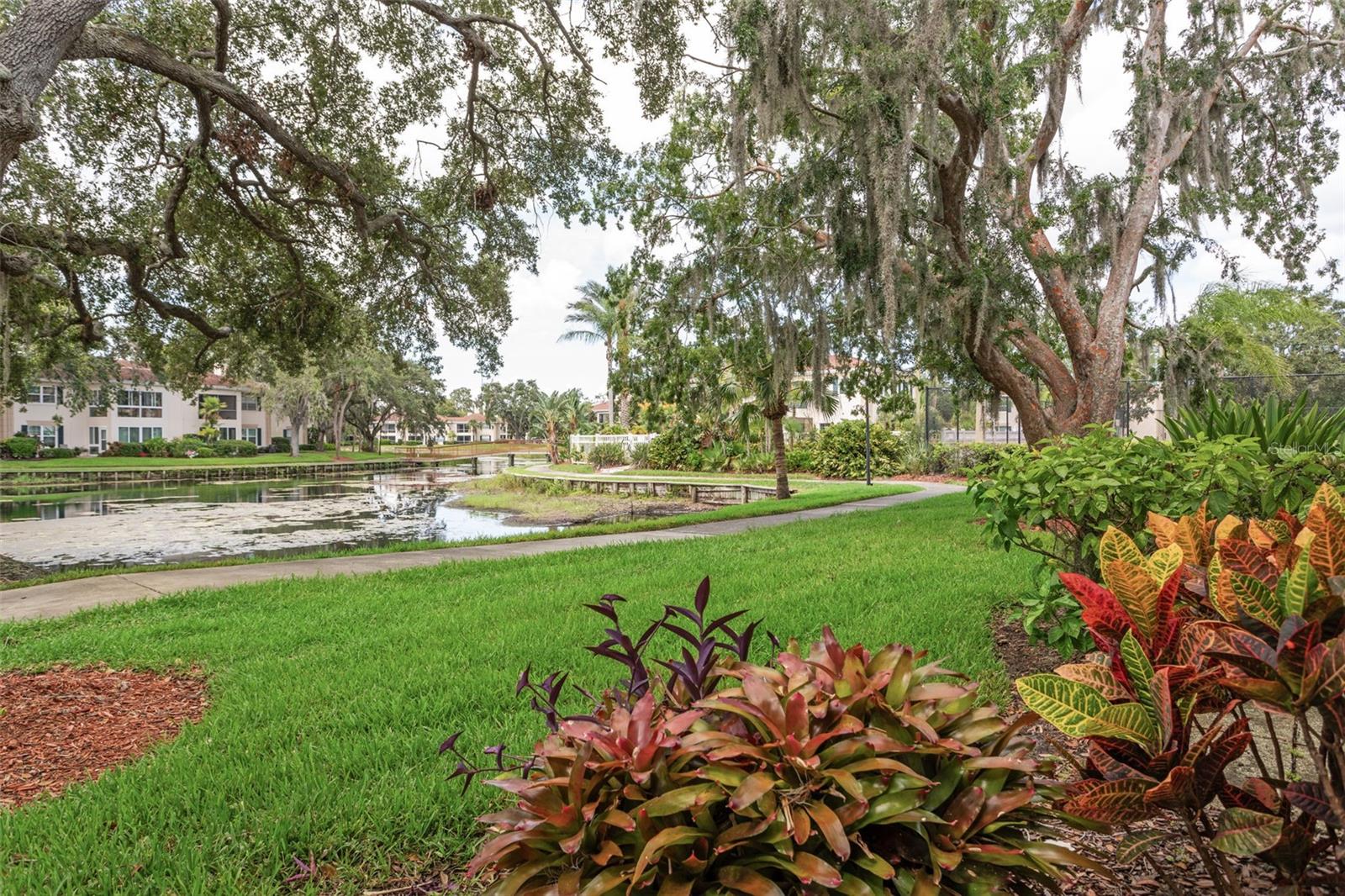 Image 25 of 37 For 10388 Carrollwood Lane 283