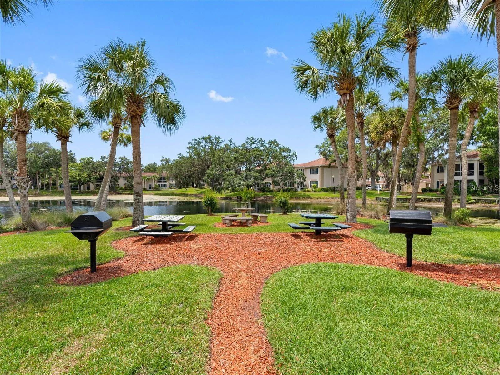 Image 36 of 37 For 10388 Carrollwood Lane 283