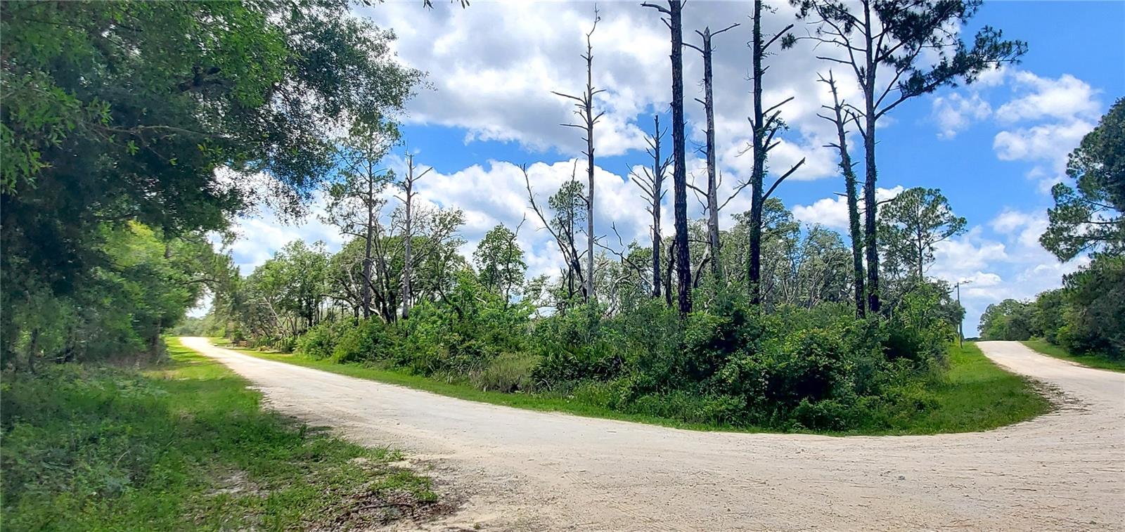 Details for 00 Coral Rock Drive 5, WEBSTER, FL 33597