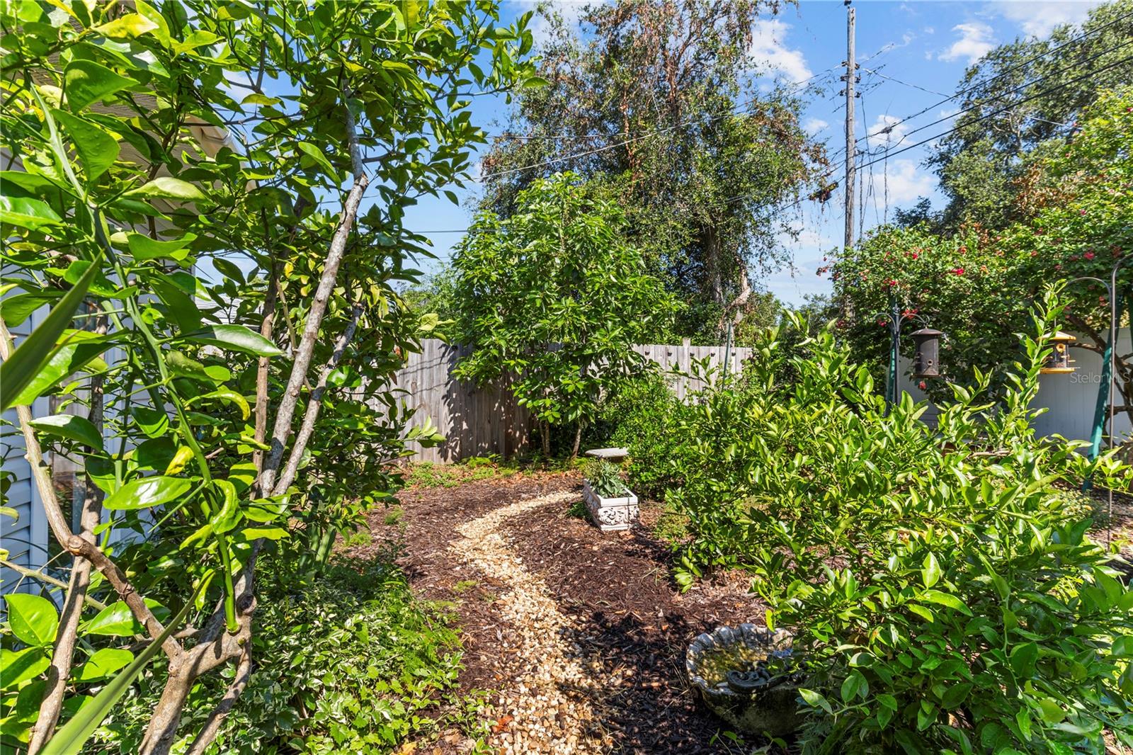 Image 25 of 30 For 546 Orangewood Drive