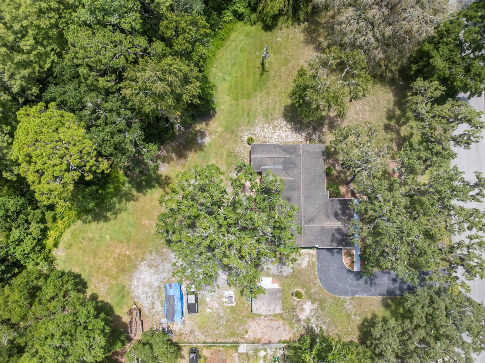 Listing photo id 0 for 13020 Sugar Creek Boulevard