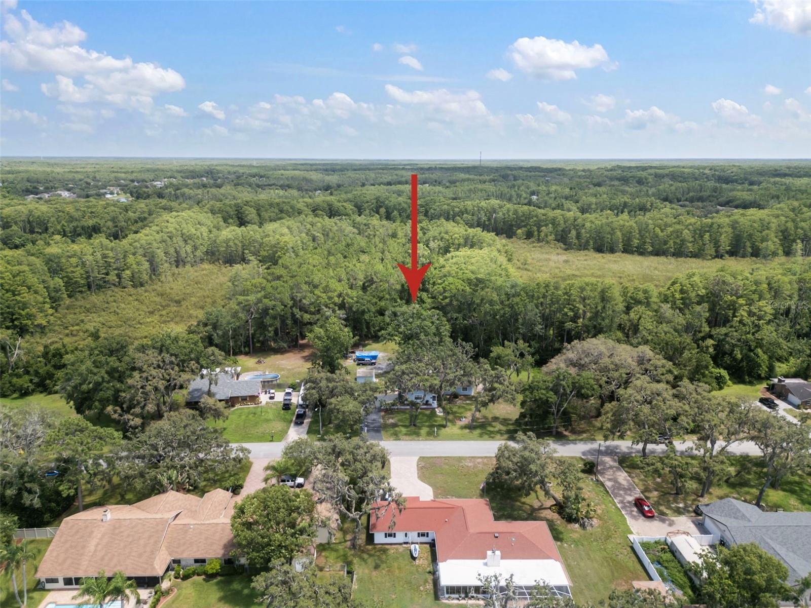 Listing photo id 4 for 13020 Sugar Creek Boulevard