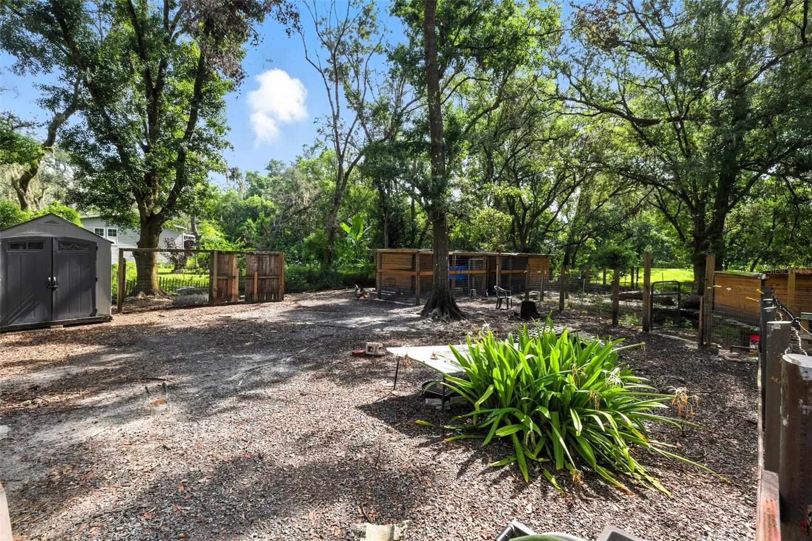 Listing photo id 0 for 4244 Ryals Road