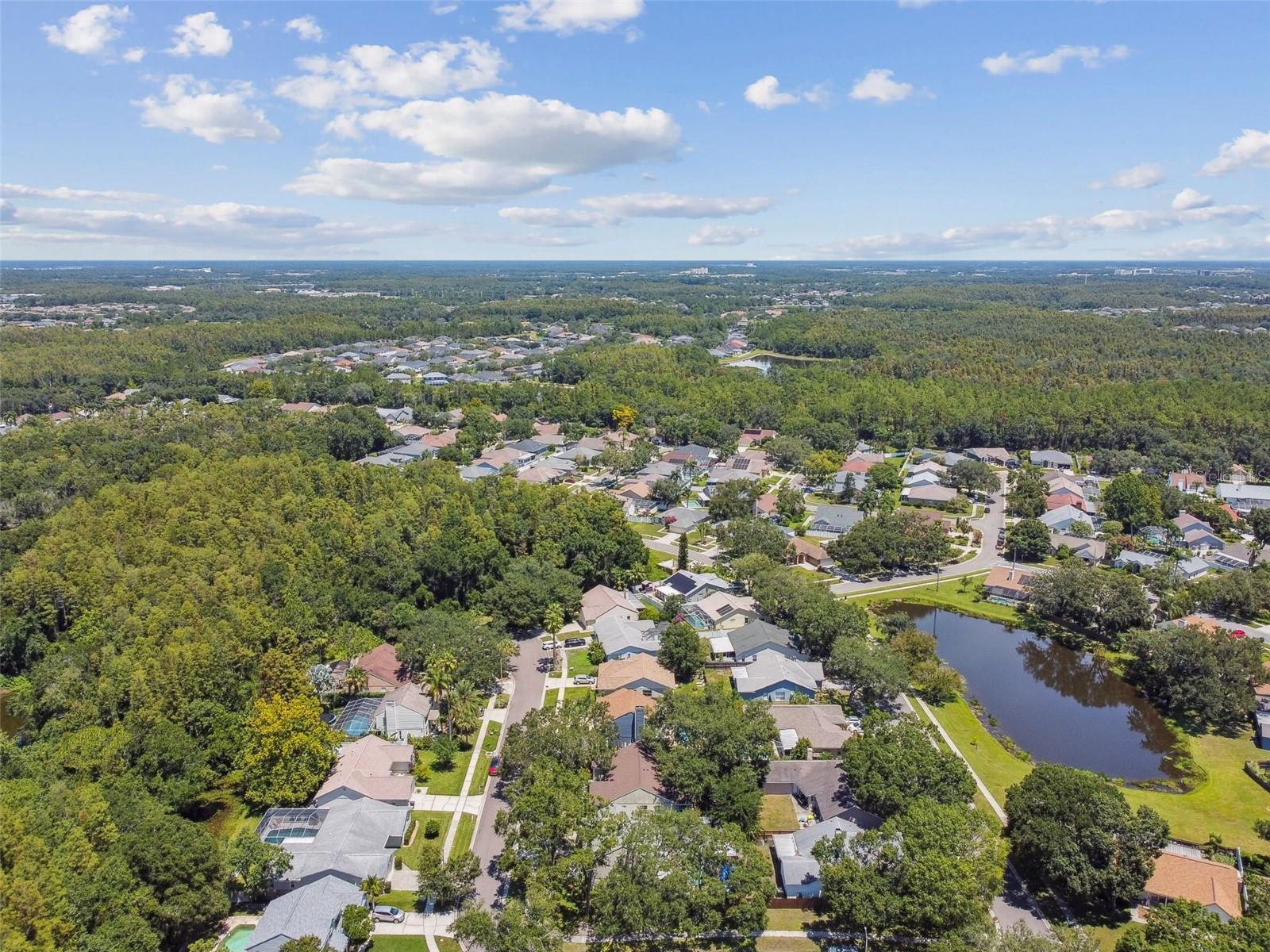 Image 47 of 56 For 9710 Cypress Pond Avenue