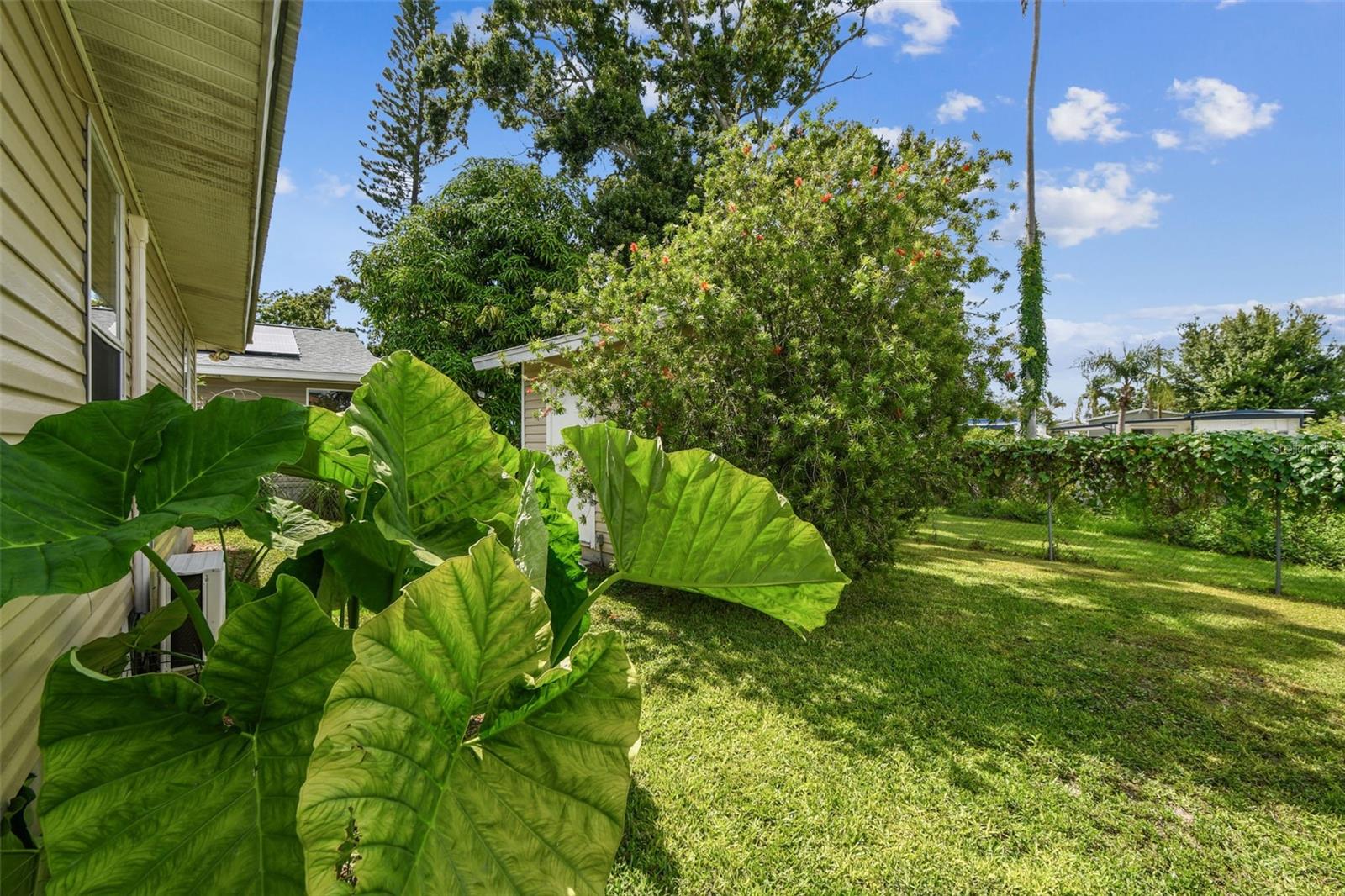 Listing photo id 43 for 2504 42nd Avenue N