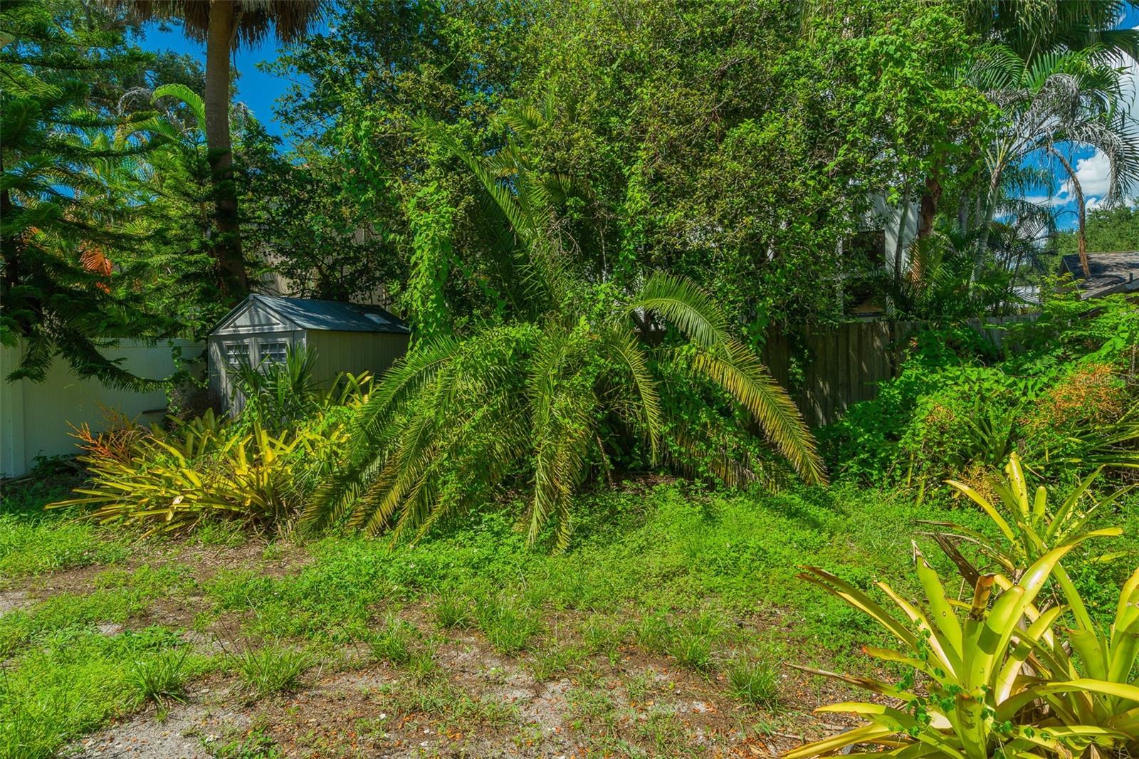 Image 24 of 28 For 3315 Empedrado Street