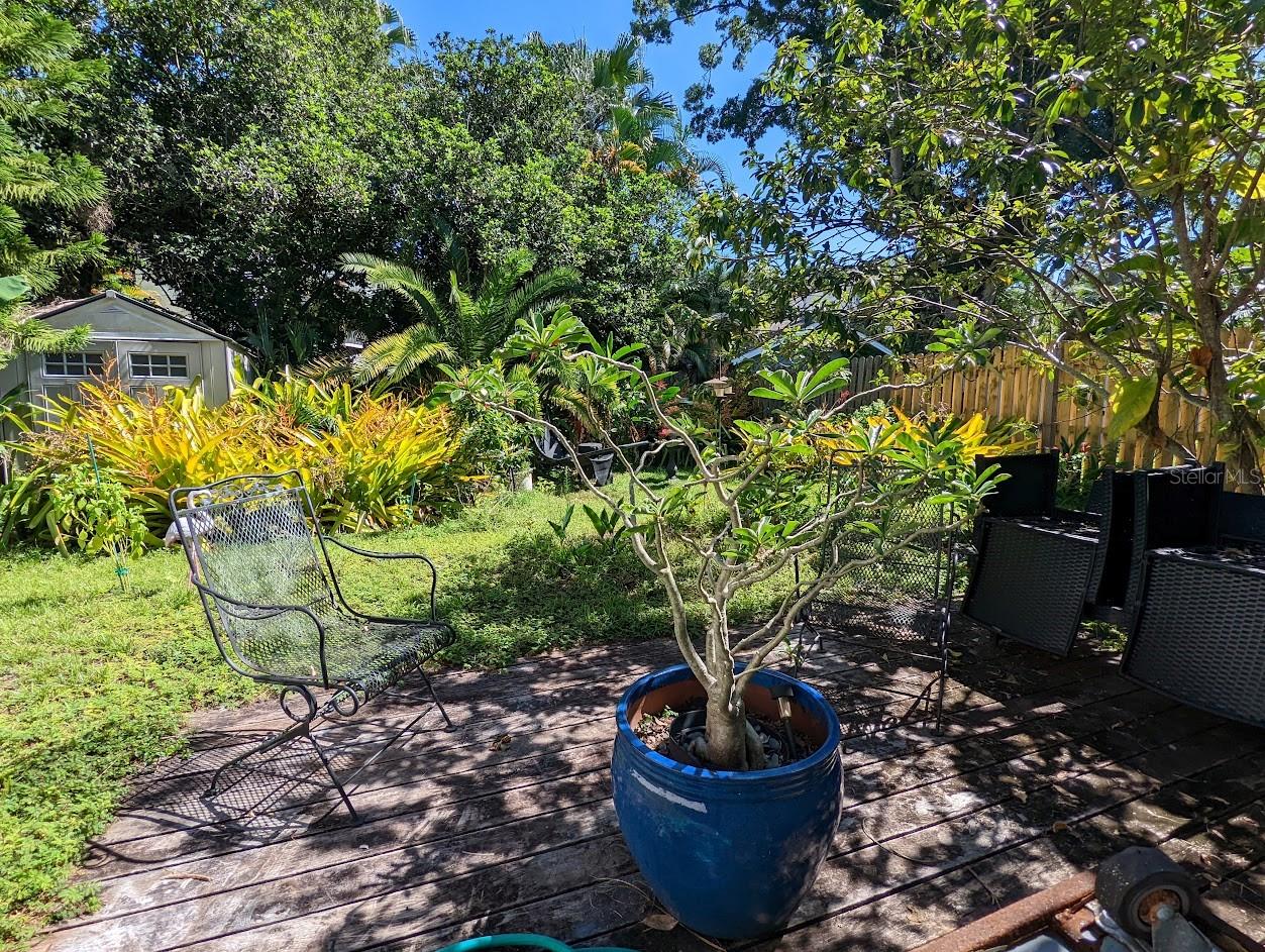 Image 3 of 28 For 3315 Empedrado Street