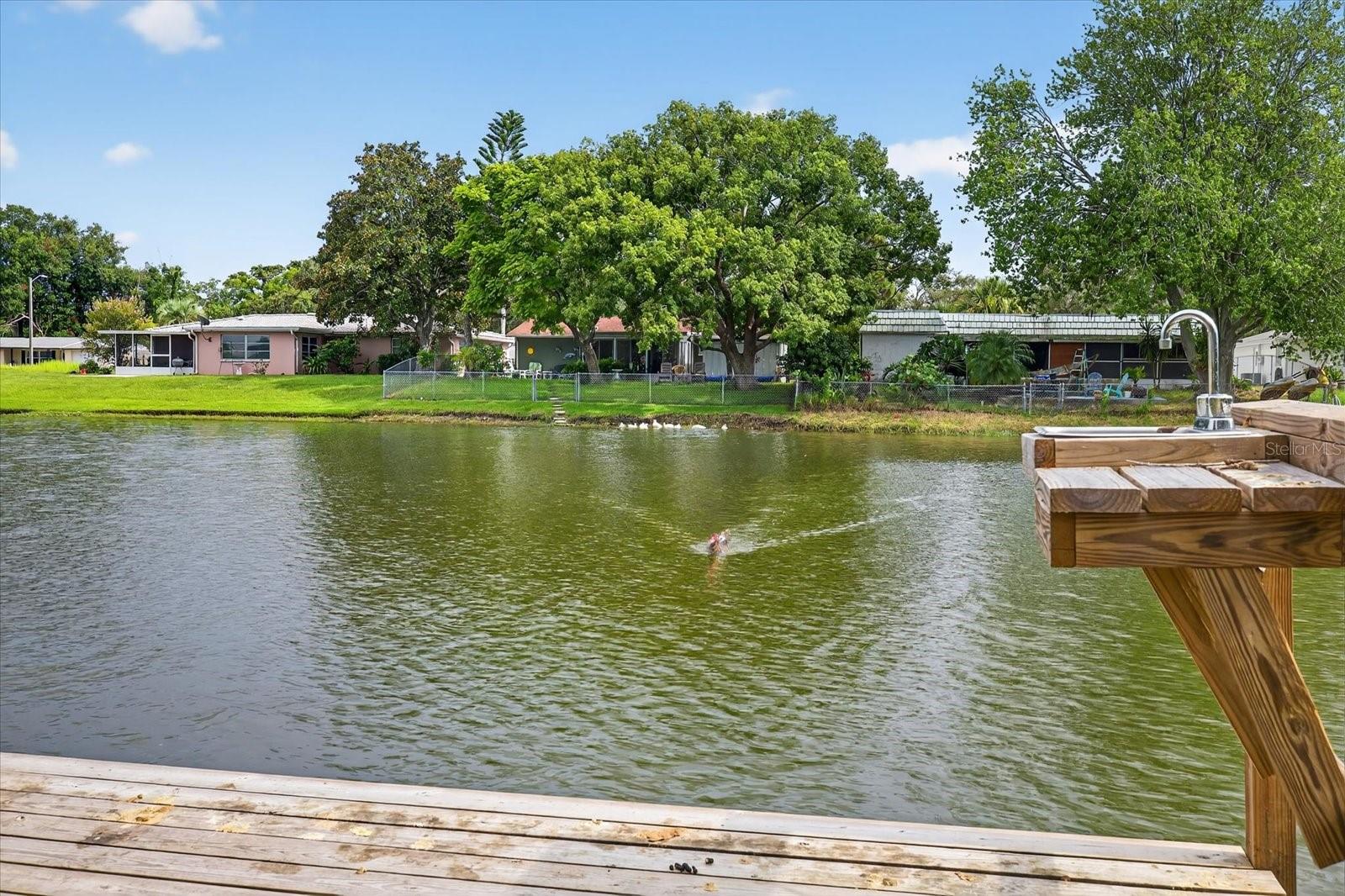 Listing photo id 37 for 7140 Gulf Highlands Drive