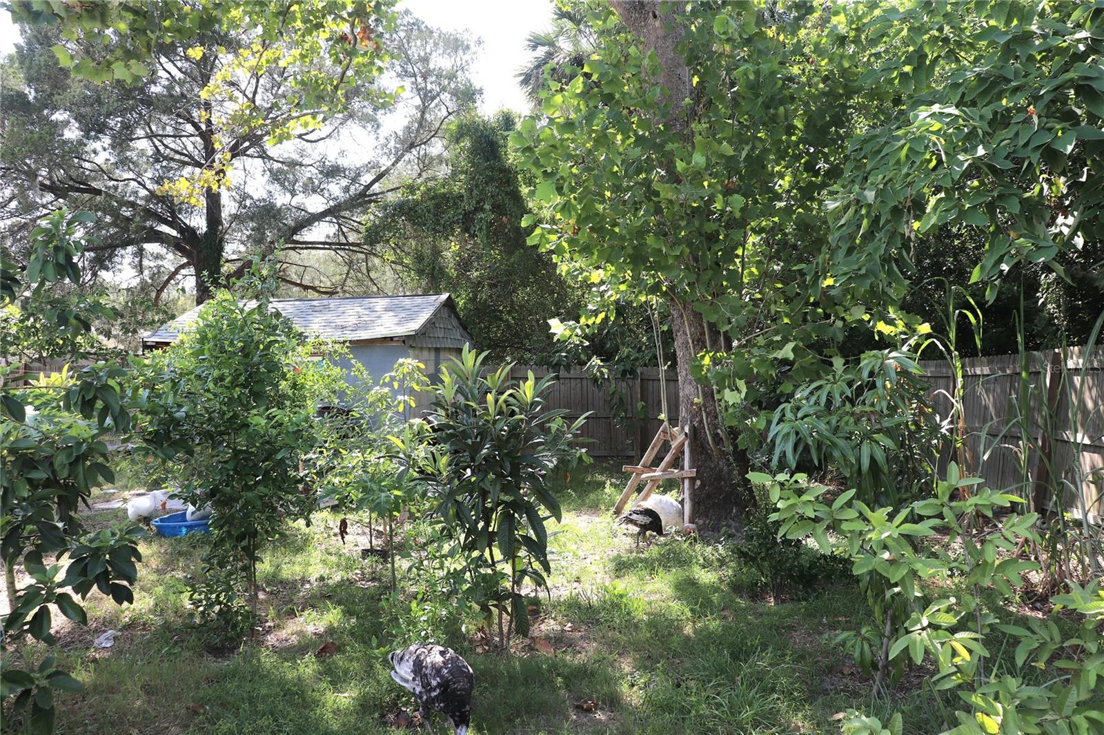 Listing photo id 17 for 6041 Dublin Drive