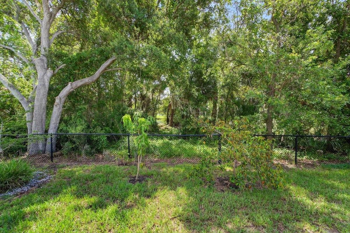 Image 37 of 40 For 9017 Spruce Creek Circle
