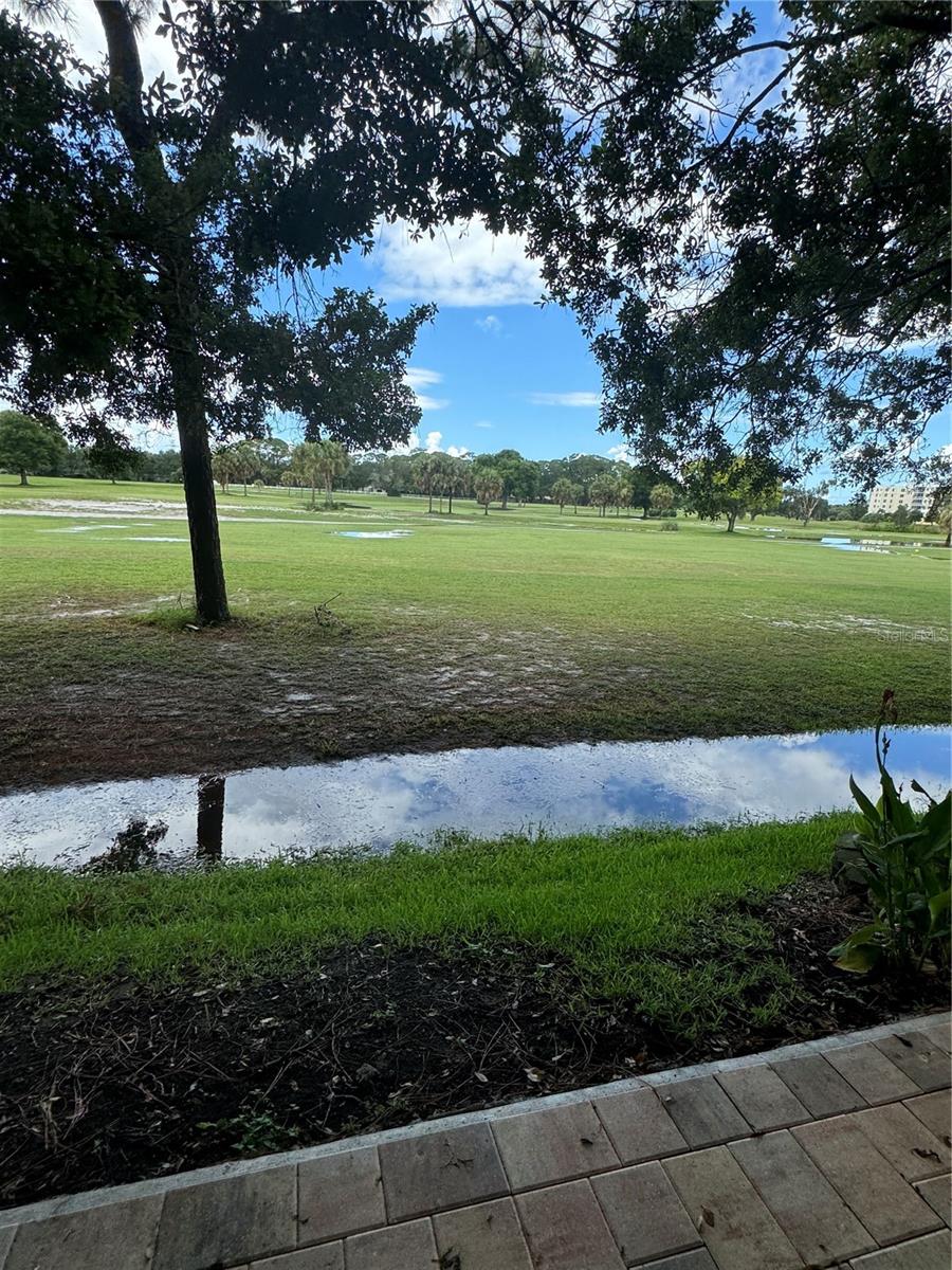 Image 49 of 60 For 1050 Starkey Road 2505
