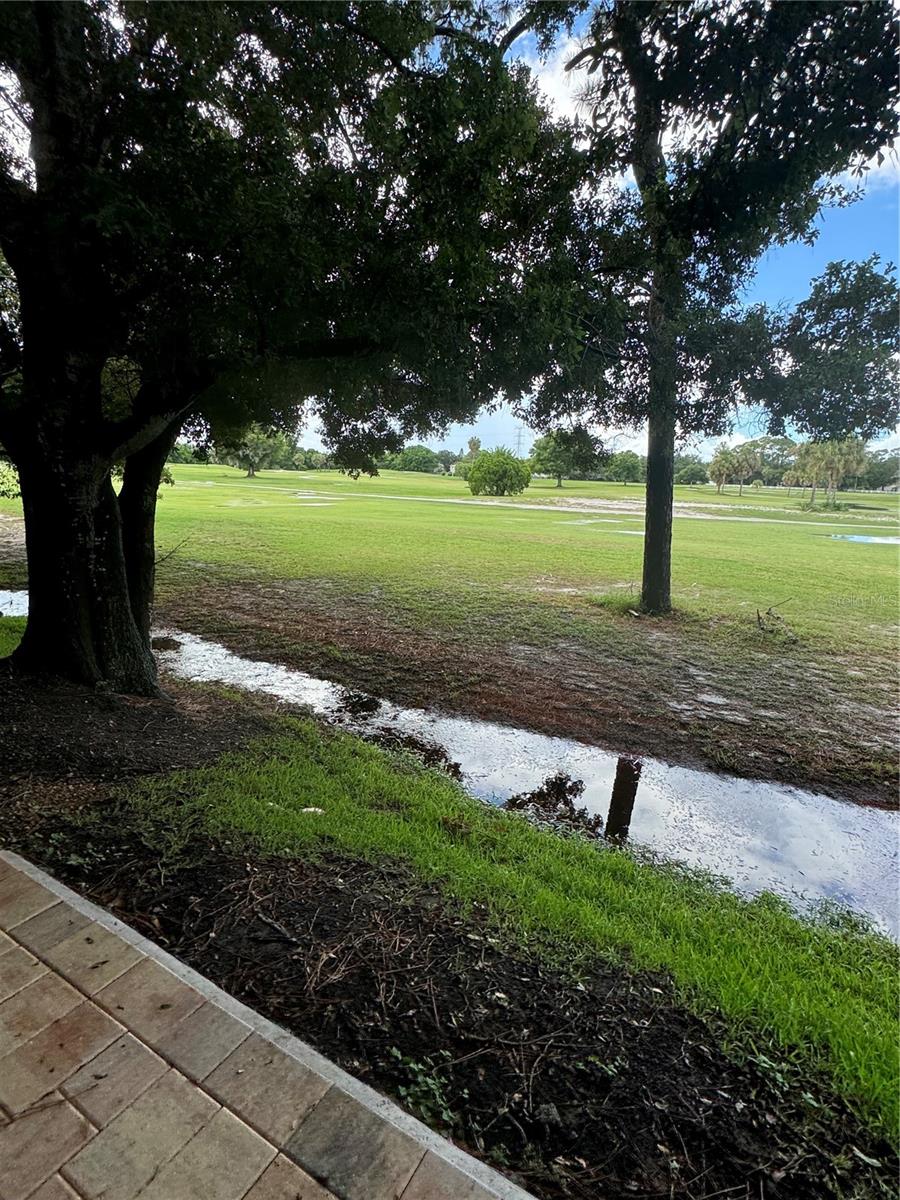 Image 50 of 60 For 1050 Starkey Road 2505