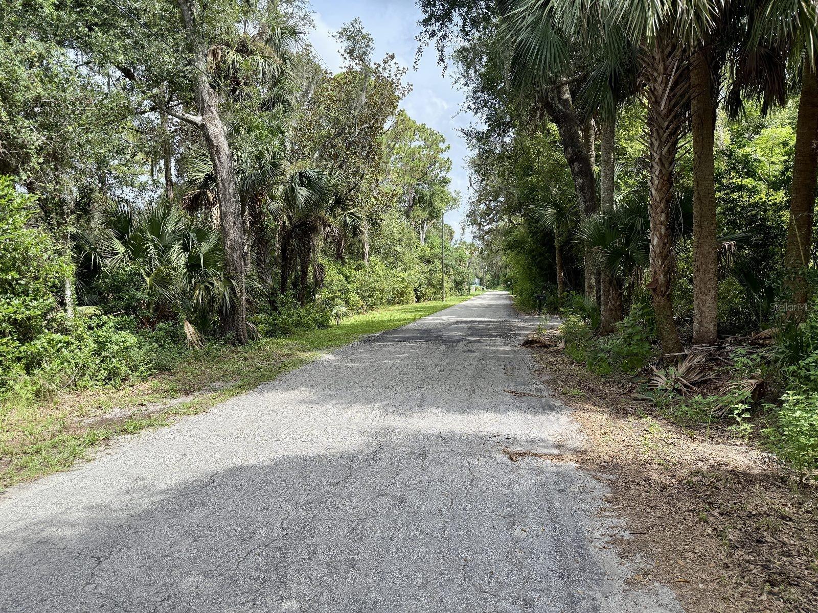 Image 4 of 7 For  North Road 